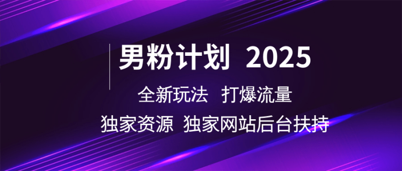 粉丝方案2025  全新玩法打穿总流量 独立网站 单独网络资源后台管理帮扶|云雀资源分享