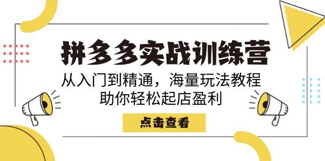 拼多多平台实战演练夏令营，实用教程，大量游戏玩法实例教程，帮助你轻轻松松出单赢利|云雀资源分享