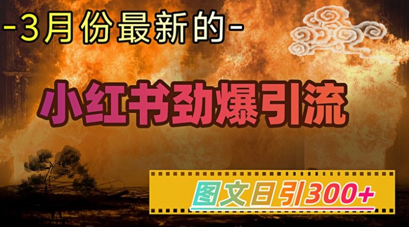小红书的超劲爆引流方法方式，图文并茂日引300 轻轻松松转现1W|云雀资源分享