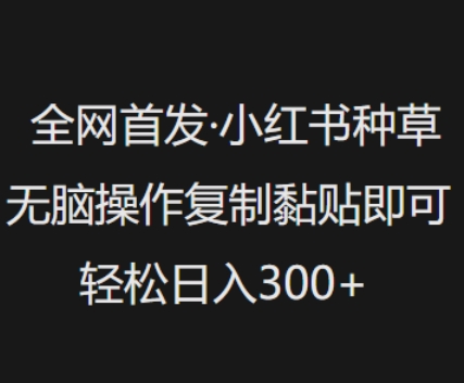 独家首发，小红书种草没脑子实际操作，拷贝粘贴就可以，轻轻松松日入3张|云雀资源分享