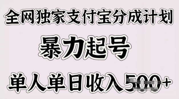 各大网站独家代理支付宝钱包分为方案，暴力行为养号，单人单日收益好几张|云雀资源分享