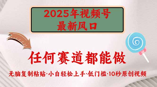 2025年微信视频号新蓝海，门槛较低只需没脑子实行|云雀资源分享
