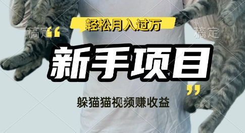 运用外国人捉迷藏比赛短视频，挣分为盈利，使用方便，新手入门，轻轻松松月入了W|云雀资源分享