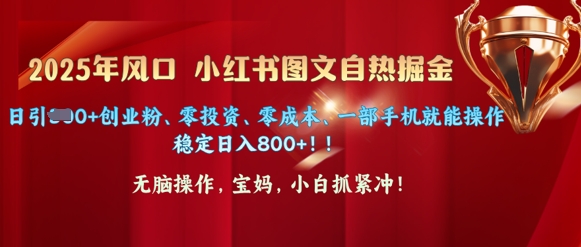 25年出风口小红书的图文并茂掘金队，日引300 自主创业粉、零投资、零成本、一部手机就能实际操作|云雀资源分享