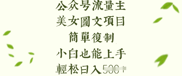 微信流量主长期收益新项目，美女照片简易拷贝，新手也可以入门，轻轻松松日入5张|云雀资源分享