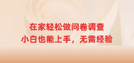 在家里轻轻松松做问卷调查，新手也可以入门，无需经验|云雀资源分享