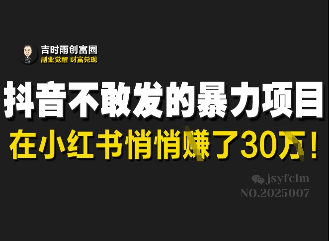 抖音视频害怕发出来的赚钱项目，在小红书悄悄的赚了30W|云雀资源分享