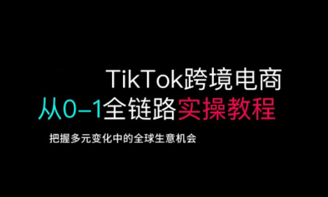 TikTok跨境电子商务从0-1全链路营销多方位实际操作实例教程，掌握多元化发展中全球买卖机遇|云雀资源分享