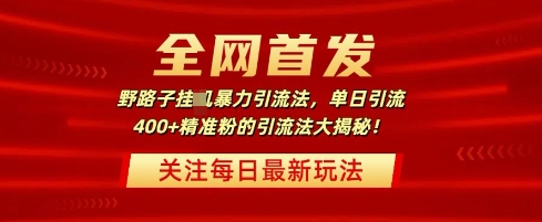 全网首发，野路子暴力引流法，单日引流400 精准粉的引流法大揭秘