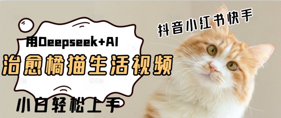 疯狂火爆，用Deepseek+AI做治愈橘猫系列视频，小白轻松制作+快速拿到结果|云雀资源分享
