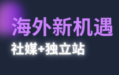 2025出航机遇与挑战(社交媒体 自建站)，国外机遇与挑战，完成独立站的高效管理与出航|云雀资源分享