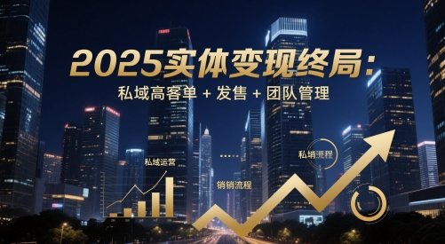 2025实体线转现终结：公域高客单 开售 团队协作|云雀资源分享