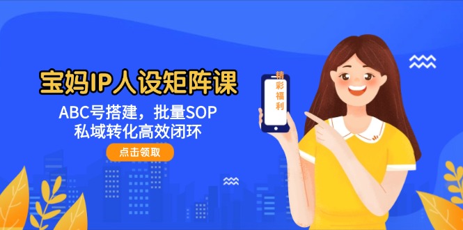 宝妈妈IP人物关系引流矩阵课：ABC号构建，大批量SOP，私域转化高效率闭环控制|云雀资源分享
