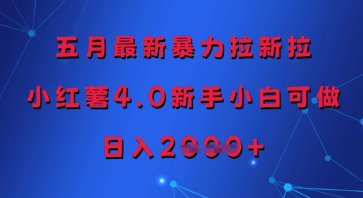 五月全新暴力行为引流拉，小红书4.0新手入门能做，日入好几张|云雀资源分享