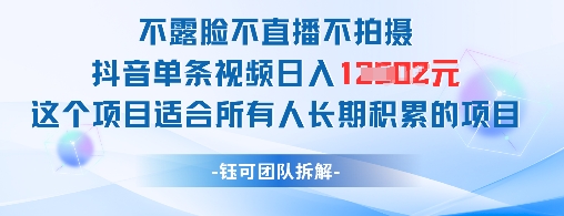 不露脸不直播不拍照抖音视频一条短视频日入1k 这样的项目适合所有人长期积累的新项目|云雀资源分享