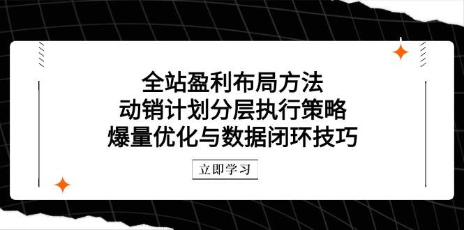 整站赢利合理布局方式：促销方案分层次执行策略，爆量优化与数据闭环方法|云雀资源分享
