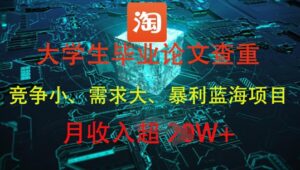在校大学生论文查重，爆利蓝海项目，月收益过1W|云雀资源分享