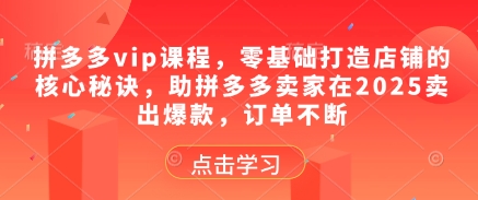 拼多多vip课程，零基础打造店铺的核心秘诀，助拼多多卖家在2025卖出爆款，订单不断|云雀资源分享