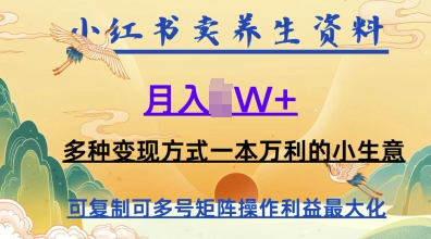 在小红书上卖养生资料，月入1w+，多种变现方式一本万利的小生意|云雀资源分享