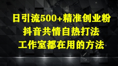 日引流方法500 精确自主创业粉，抖音视频同理心自然玩法，个人工作室都在用的方式|云雀资源分享