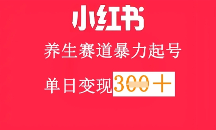 小红书的健康养生跑道，暴力行为养号，轻轻松松日入3张|云雀资源分享