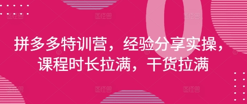 拼多多平台夏令营，心得分享实际操作，课程内容时间打满，干货知识打满(升级25年4月)|云雀资源分享