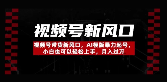 视频号带货新风口，AI模版暴力起号，小白也可以轻松上手，月入过W|云雀资源分享