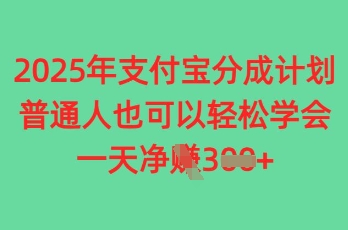 2025年支付宝钱包分为方案，平常人也可以快速掌握，一天盈利3张|云雀资源分享