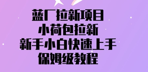 蓝厂拉新项目，小荷包引流，新手入门快速入门，家庭保姆级实例教程|云雀资源分享