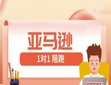 亚马逊平台1对1陪跑课(FBA/FBM精铺)跨境电商亚马逊平台实例教程|云雀资源分享