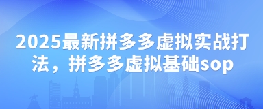 2025全新拼多多平台虚似实战演练玩法，拼多多平台虚似基本sop|云雀资源分享
