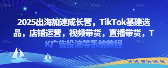 2025出航加速成长营，TikTok基本建设选款，店铺管理，短视频带货，直播卖货，TK广告宣传投流等系统教程|云雀资源分享