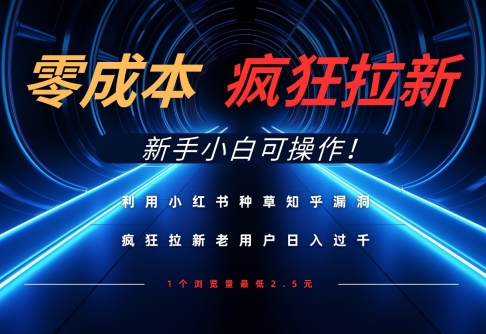 运用小红书种草知乎问答系统漏洞，零成本玩命引流日入多张，新手入门易操作|云雀资源分享