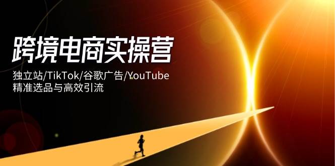 跨境电子商务实际操作营：自建站/TikTok/谷歌广告/YouTube，精确选款与高效引流方法|云雀资源分享