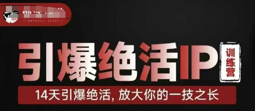 点爆绝技IP夏令营，14天点爆绝技，变大你一技之长|云雀资源分享