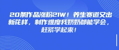 20条著作增粉21W！健康养生跑道又出新花样，制做难度系数我奶奶都可以懂得，赶快学习起来|云雀资源分享