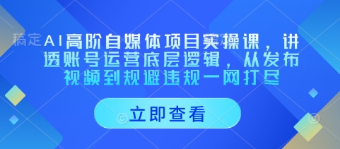 AI高阶自媒体项目实操课，讲透账号运营底层逻辑，从发布视频到规避违规一网打尽|云雀资源分享