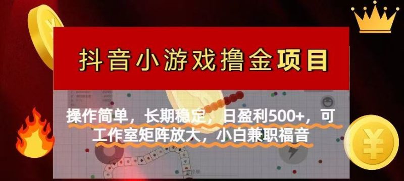 【抖音小游戏外国投资者计划项目】使用方便,持续稳定,日赢利500 ,可工作中…|云雀资源分享