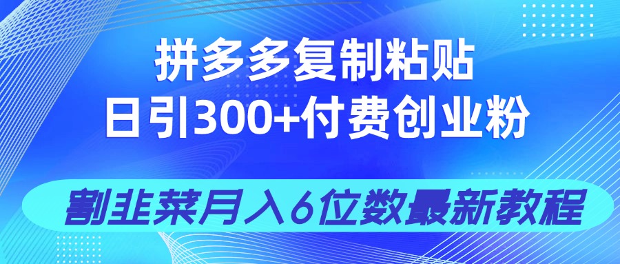 拼多多复制粘贴日引300+付费创业粉，割韭菜月入6位数最新教程！|云雀资源分享
