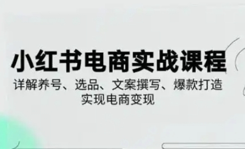 小红书从0-1实操课(2023-2025)，详解养号、选品、文案撰写、爆款打造实现电商变现|云雀资源分享
