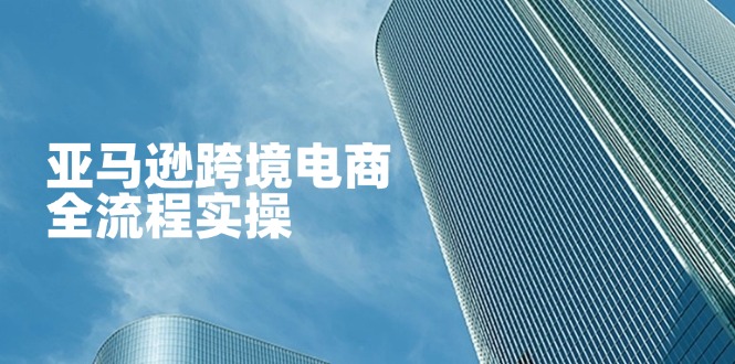 亚马逊平台跨境电子商务全过程实际操作，教大家从零开始，把握店铺管理与广告方法|云雀资源分享
