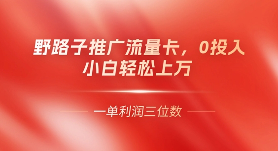 0门槛推广流量卡，一单收益上百，0投入，小白月入过W|云雀资源分享