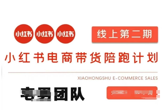 小红书电商卖货课2期，月盈利20个小红书电商的是一手货源，无货源电商，虚拟商品，付钱投流等全套游戏玩法|云雀资源分享