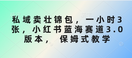 公域卖壮锦包，一小时3张，小红书的瀚海跑道3.0版本号， 跟踪服务课堂教学|云雀资源分享