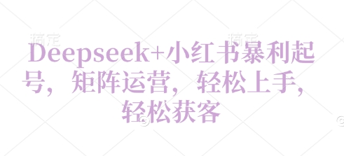 Deepseek 小红书暴利起号，矩阵运营，轻松上手，轻松获客