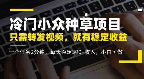 冷门小众种草项目，只需转发视频，每天就有稳定收益，无门槛，每天稳定3张 收入，小白可做
