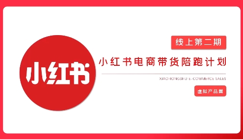 2025小红书虚拟电商实战课，从0到1打造无货源店铺，AI 爆款笔记轻松变现