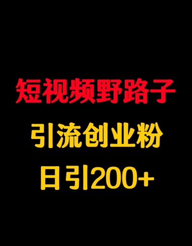 短视频野路子引流创业粉，日引200 