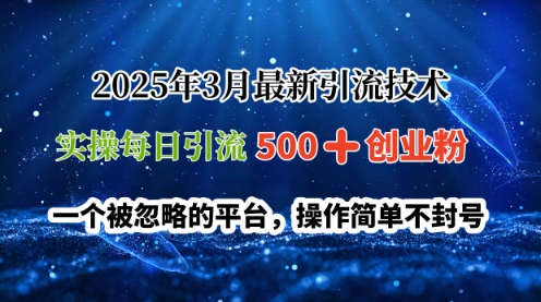 2025年3月最新引流技术，实操每日引流500 创业粉，一个被忽略的平台，操作简单不封号