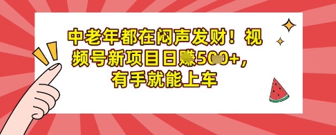中老年都在闷声发财，视频号新项目日入多张，有手就能上车